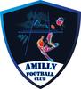 logo Amilly FC