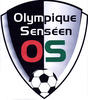 logo Arleux Fechain Olympique Senseen