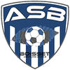 logo AM.S de Boisset