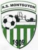 logo AS Montguyonnais