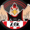 logo Alouette Sportive Neussarguaise