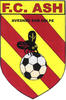 logo FC Avesnes S/helpe 96