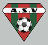 logo AV.S Violesien