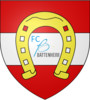 logo FC Battenheim