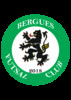 logo Bergues FC