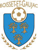 logo Boisset et Gaujac FC