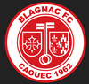 logo Blagnac 1