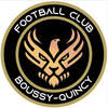 logo Boussy-quincy FC