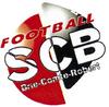 logo Briard SC