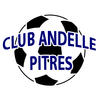 logo C. Andelle Pitres