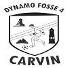 logo Dynamo Fosse 4 Carvin