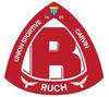 logo US Ruch Carvin