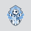 logo Chasseneuil Saint Georges FC