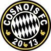 logo Cosnois FC