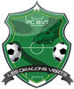 logo Dragons Verts FCb. V. T.