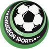 logo Drugeon Sports