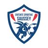 logo ENT.S Saussey