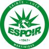 logo Espoir Ste Luce