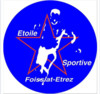 logo ET.S Foissiat Etrez