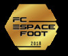 logo FC Espace Foot