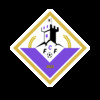 logo FC Finosello