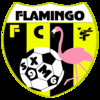 logo FC Flamingo