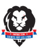 logo FC Ste Foy les Lyon