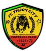 logo FC de Thaon City