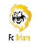 logo FC Briare