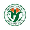 logo FC Viennay-gâtine