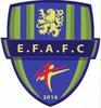 logo ENT. Feignies Aulnoye FC