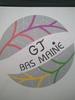 logo GJ Bas Maine