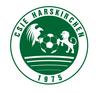 logo CS Interc. ENT. Harskirchen