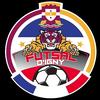 logo Futsal D'igny