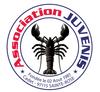 logo Juvenis 1