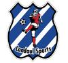 logo Landaul Sp.