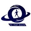 logo FC Fief Geste