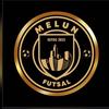 logo Melun Futsal 2