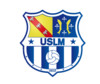 logo US Litteraire Mont St Martin