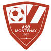 logo ASom. Montenay