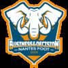 logo Business et Decision Nantes Foot