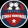 logo Nantes Etoile Nantaise Futsal