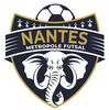 logo Nantes Metropole Futsal