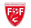 logo NFF 1