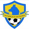 logo Olympique Saltesien