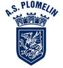 logo AM.S Plomelinoise