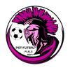 logo Pst Futsal Plelo