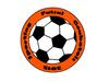 logo Sporting Futsal Goubetois