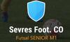 logo Sevres Foot. CO