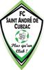 logo FC St Andre Cubzac